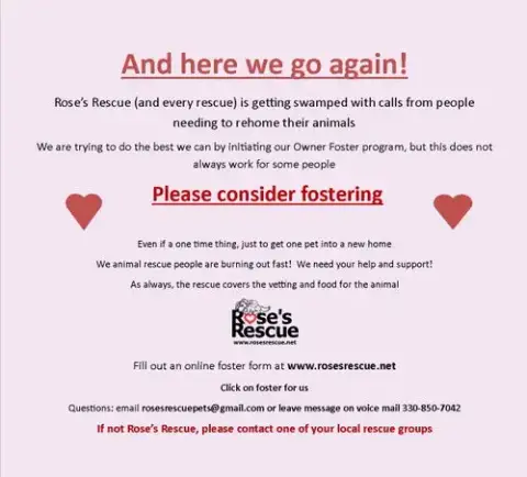 **Fosters Needed!