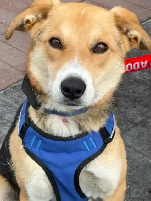 Axel photo 2