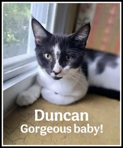 Duncan