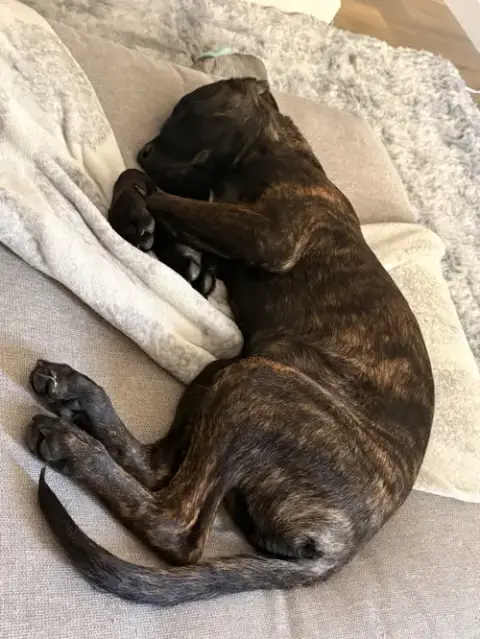 Max photo 3