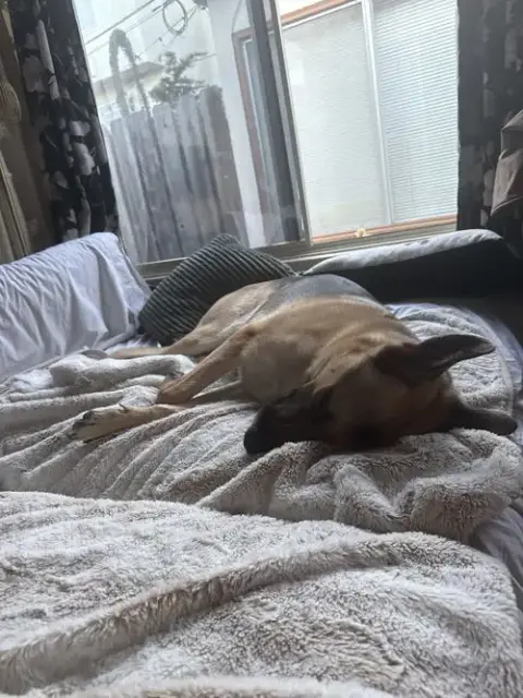 Gus