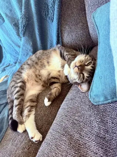 *Samara photo 3