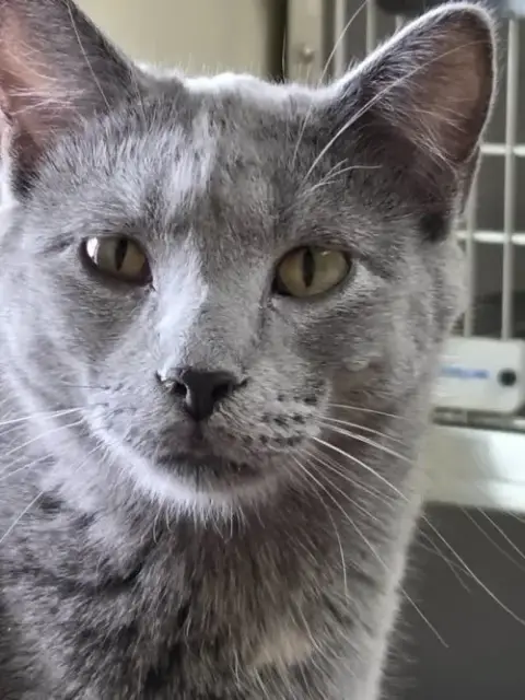 Dusty photo 4