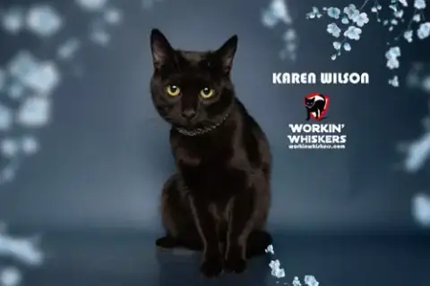 Karen Wilson