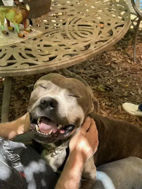 George