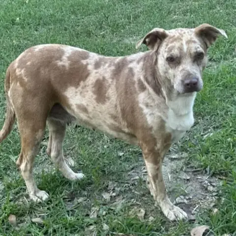 Bernadette photo 2