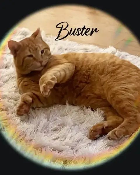 Buster photo 5