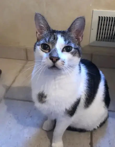 Bruce