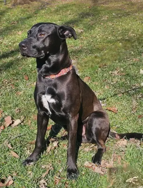 Thor photo 2