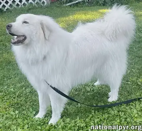 Casper In Ct photo 2