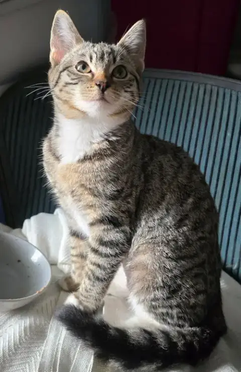 Luna photo 3