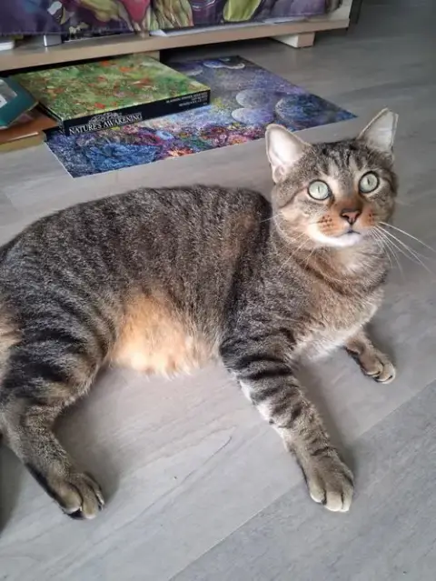 Sammy