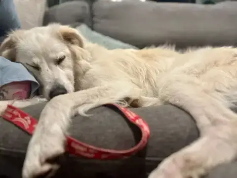 Riley photo 3