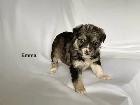 Emma