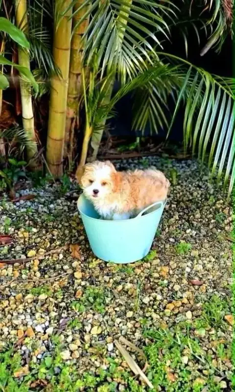 Sprout photo 2
