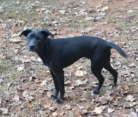 Jax photo 5