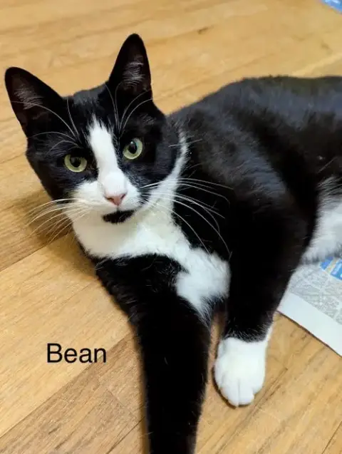 Leaf & Bean photo 3