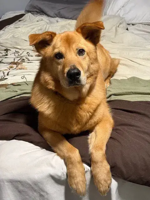 Oakley photo 2