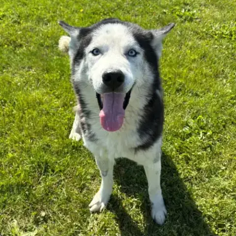 Watson photo 5