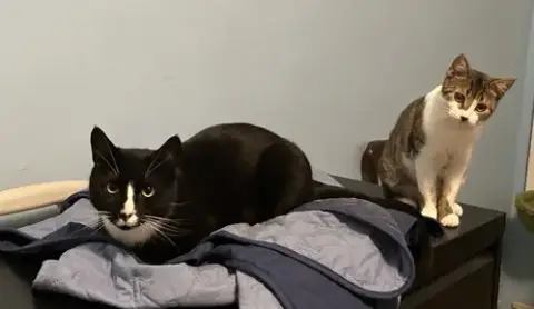 Charlie And Farrah