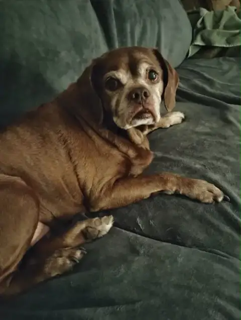 Lady Aka Ladybug
