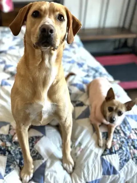 Happy photo 3