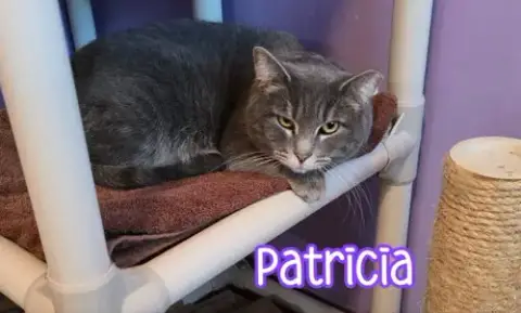 Patricia photo 2