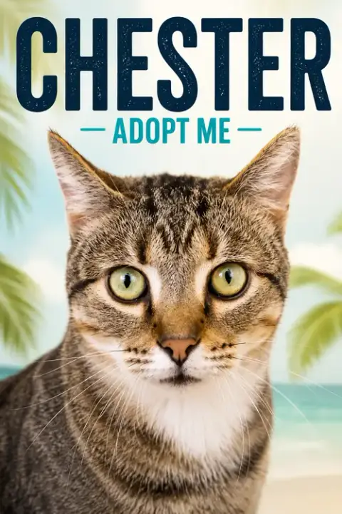 Chester