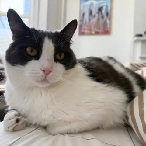 Oscar photo 2
