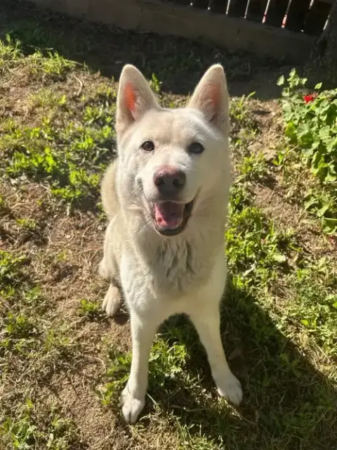 Stella photo 2