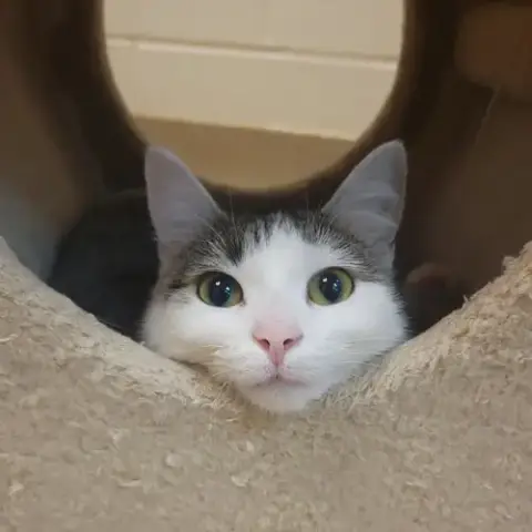 Molly