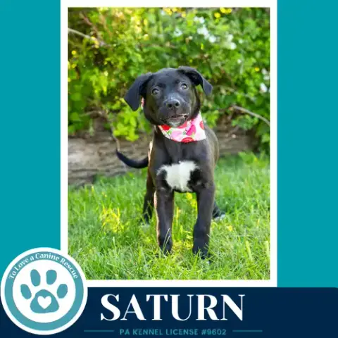 Saturn