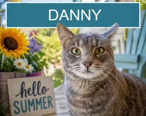 Danny