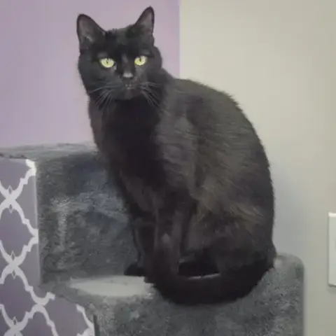 Luna photo 3