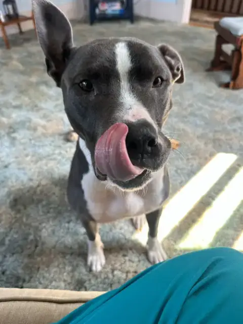 Bruno photo 3