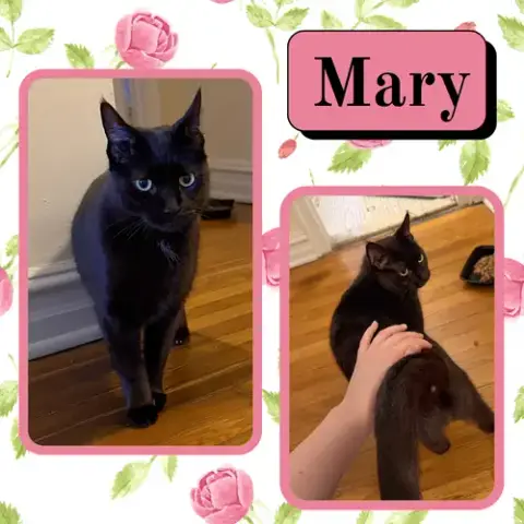 Mary photo 2