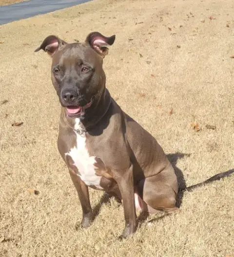 Darrell photo 4