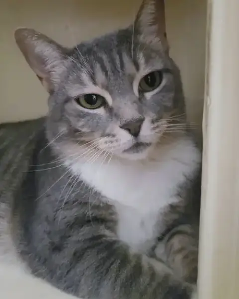 Princes Gigi photo 4