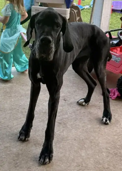 Abby photo 2