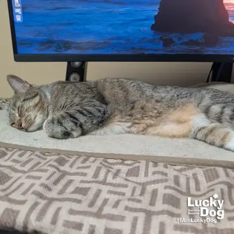 Lucille photo 4