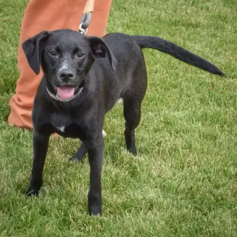 Libby photo 3