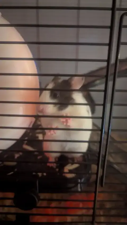 Missy photo 4