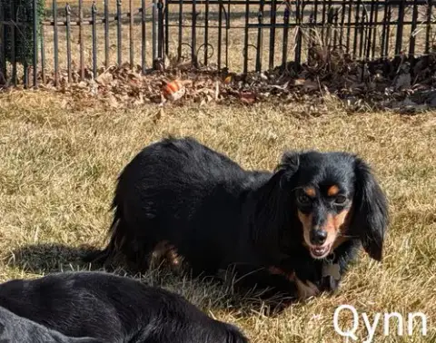 Qynn photo 3