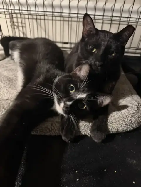 Midnight & Alex photo 2