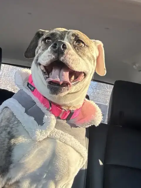 Doris