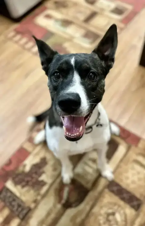 Gigi photo 5