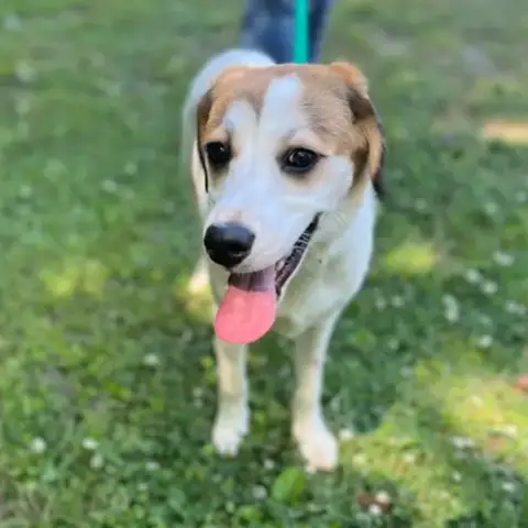 Ruby Hope  Lower Fee