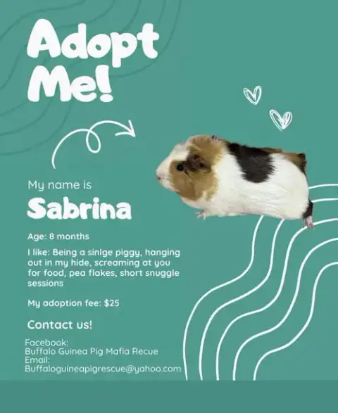 Sabrina photo 2