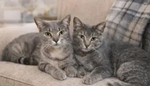 Mother And Daughter