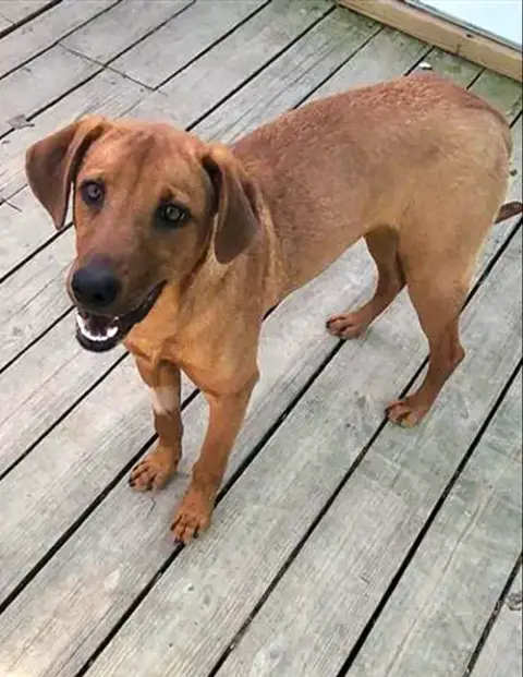 Professor Red photo 3